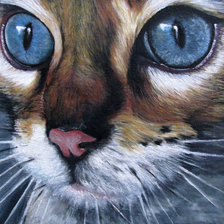 Схема вышивки «№1991946»