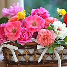 Схема вышивки «Розы»