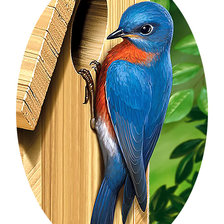 Схема вышивки «Серия "Птицы"»