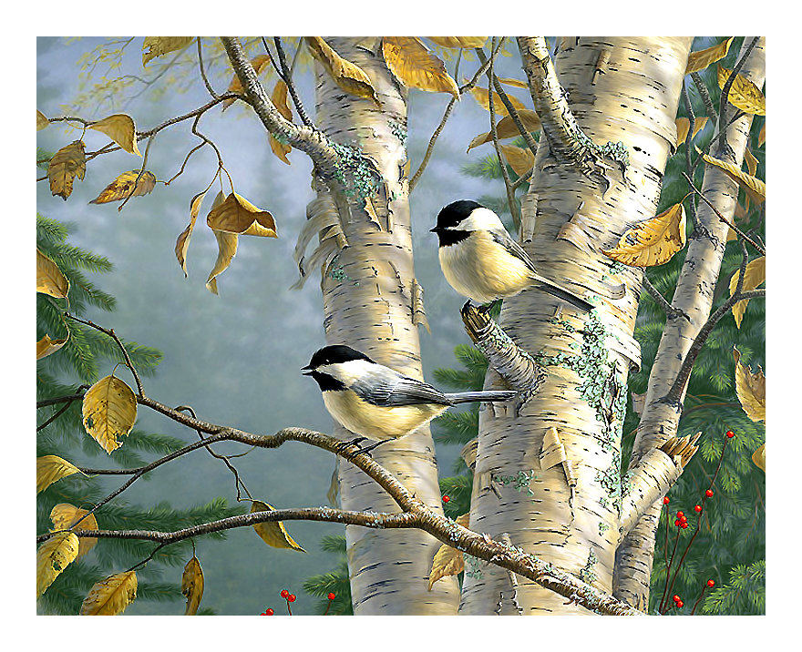 Серия "Птицы" - фауна, птицы - оригинал