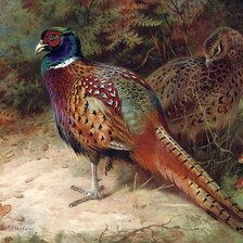 Схема вышивки «№1992191»