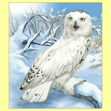 Схема вышивки «Белая совушка.»