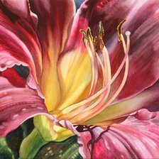 Схема вышивки «№1992331»