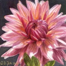 Схема вышивки «Георгіна»