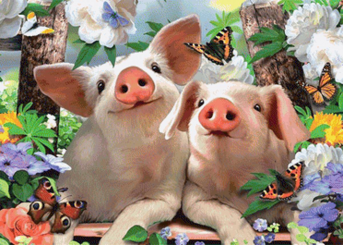 Поросята - поросята, цветы, бабочки - предпросмотр