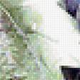 Предпросмотр схемы вышивки «Грозди винограда.» (№1992408)
