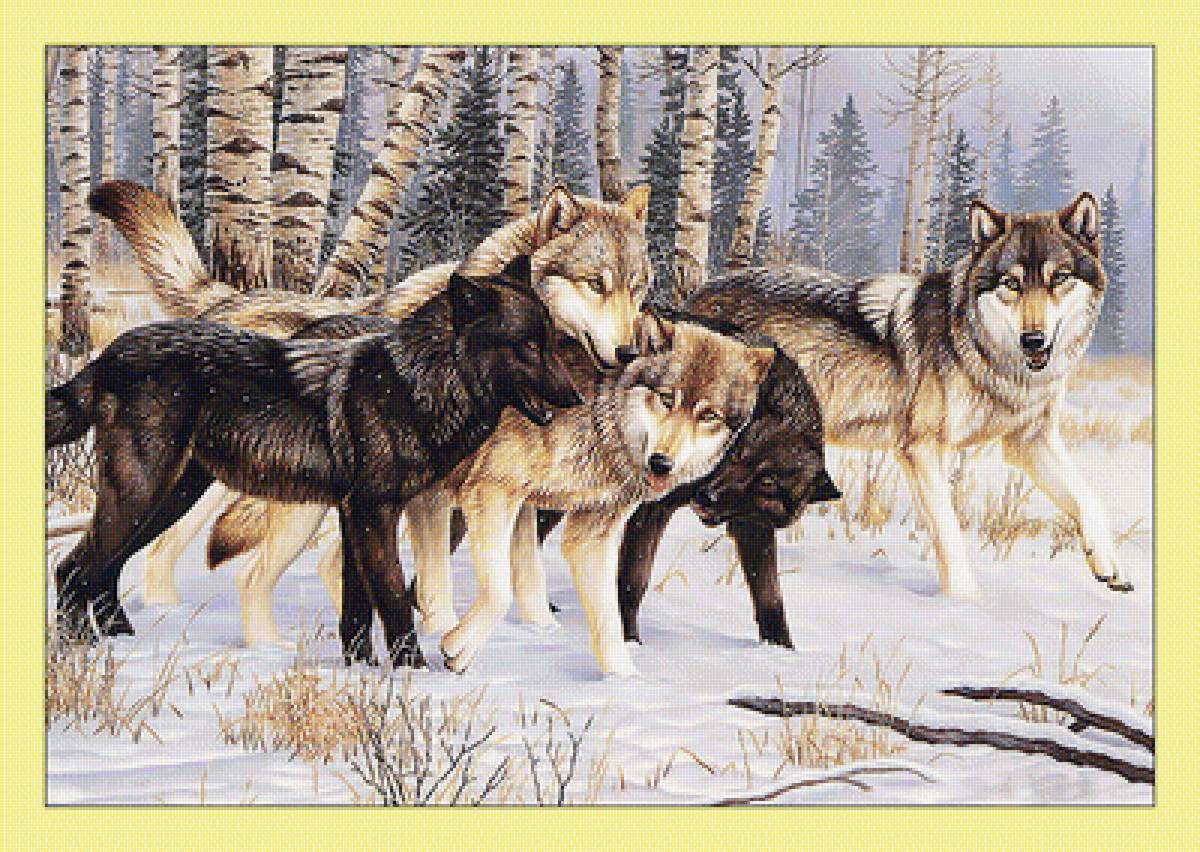 Стая. - волки, хищники, снег, зима, осень, стая, животные, живопись, лес - предпросмотр