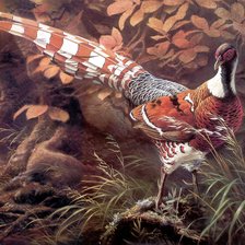 Схема вышивки «№1992515»