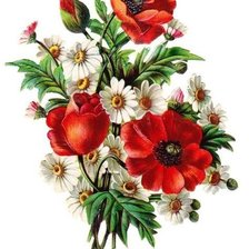 Схема вышивки «№1992730»