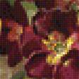 Предпросмотр схемы вышивки «Букет.» (№1992758)