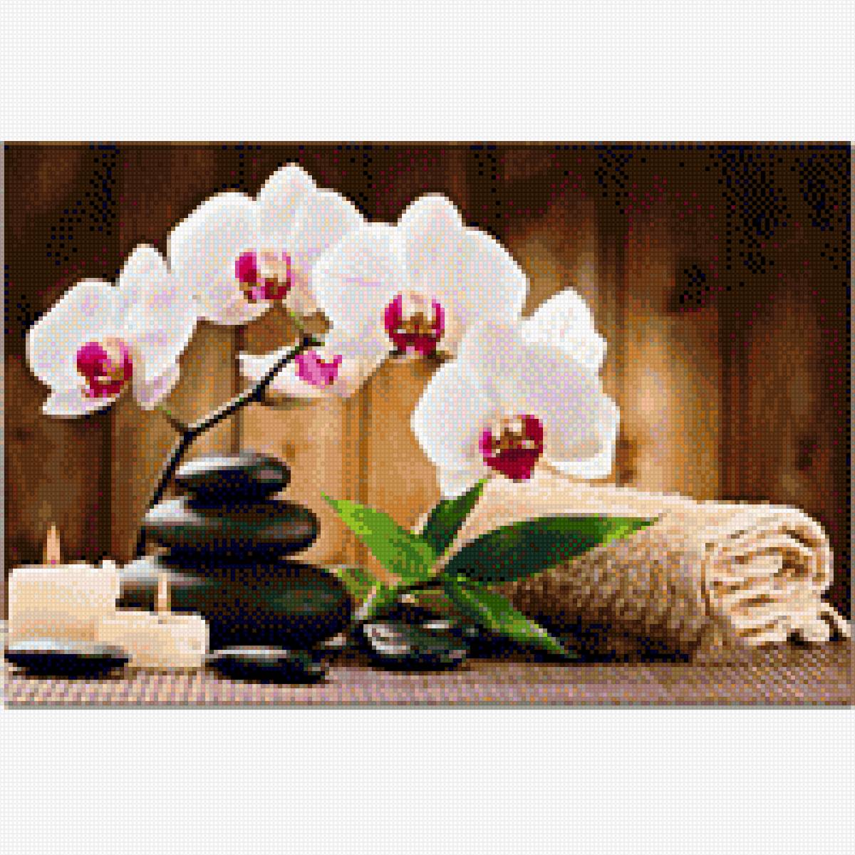 Орхидея - #орхидея #цветы - предпросмотр