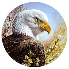 Схема вышивки «Серия "Птицы". Орел»