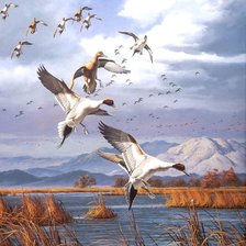 Схема вышивки «Утки»