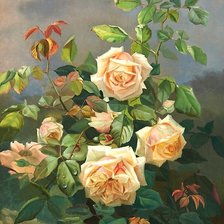 Схема вышивки «Розовый куст»