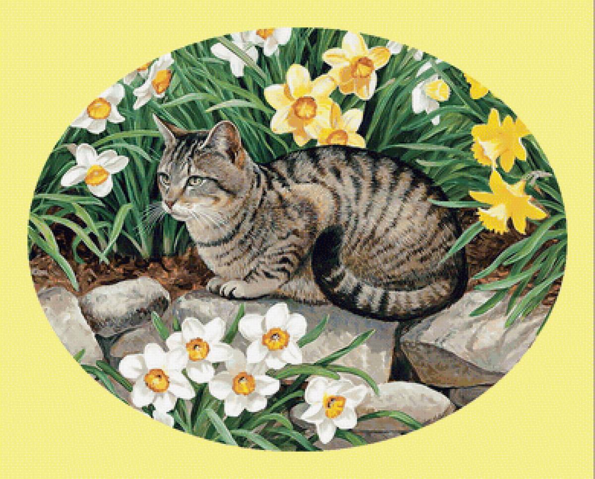 Кот в цветах. - кот, нарциссы, кошка, цветы - предпросмотр