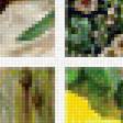 Предпросмотр схемы вышивки «Котики. Коллаж.» (№1993027)