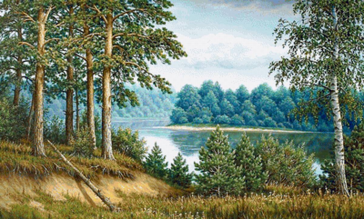 пейзаж - пейзаж, река, березы, сосны - предпросмотр