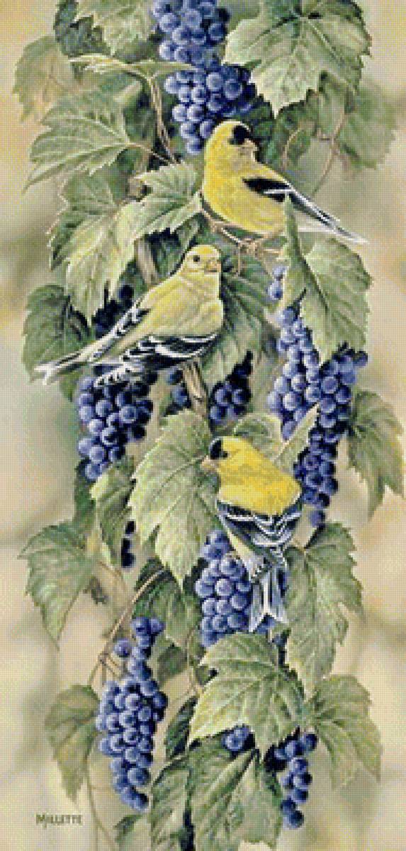 Птички и виноград - предпросмотр