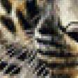 Предпросмотр схемы вышивки «Леопард.» (№1993334)