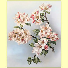 Схема вышивки «Яблоневый цвет.»