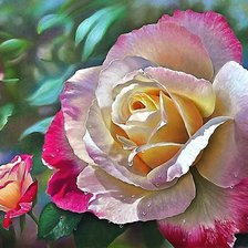 Схема вышивки «Роза»