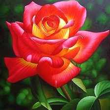 Схема вышивки «Роза»