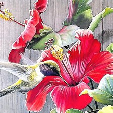 Схема вышивки «Птичка»