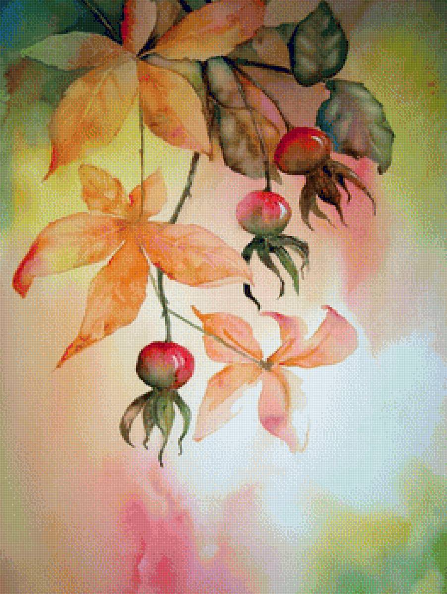 ШИПОВНИК - шиповник - предпросмотр