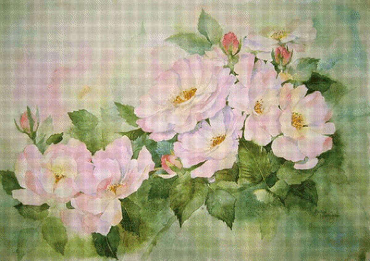 ШИПОВНИК - шиповник - предпросмотр