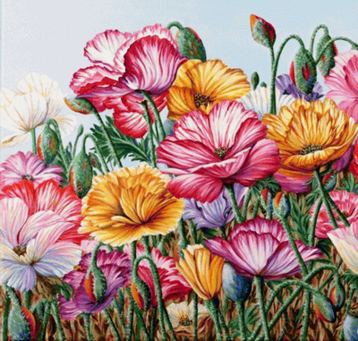 maky - предпросмотр