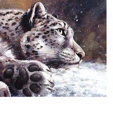 Схема вышивки «342х284»