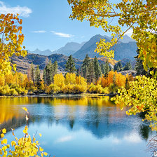 Схема вышивки «Вдоль реки»