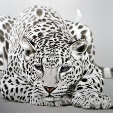 Схема вышивки «№1993885»