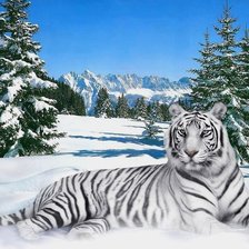 Схема вышивки «№1993893»