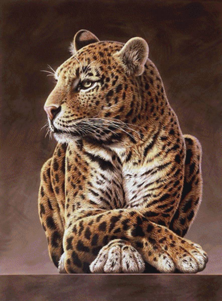 №1993895 - животные, хищники - предпросмотр