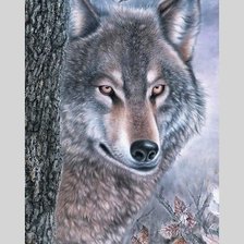 Схема вышивки «№1993905»