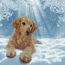 Схема вышивки «№1993910»