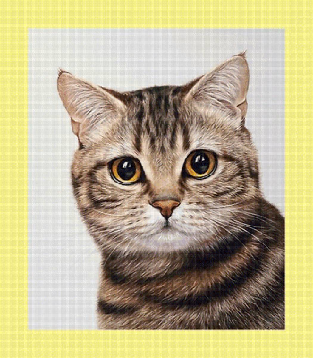 №1993913 - животные, коты - предпросмотр