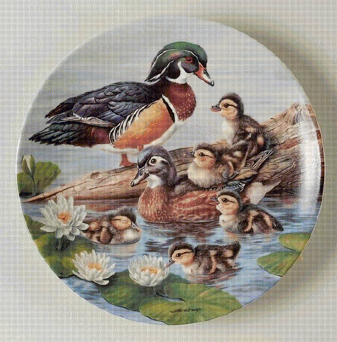 rodinka kačičiek - предпросмотр