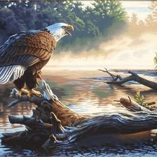 Схема вышивки «№1994151»