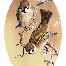 Схема вышивки «Серия "Птицы"»