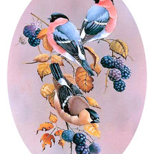 Схема вышивки «Серия "Птицы"»
