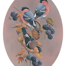 Схема вышивки «Серия "Птицы". Вариант 2»