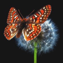 Схема вышивки «№1994290»