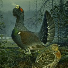 Схема вышивки «№1994323»