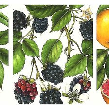 Схема вышивки «№1994381»