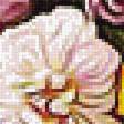 Предпросмотр схемы вышивки «Натюрморт» (№1994433)