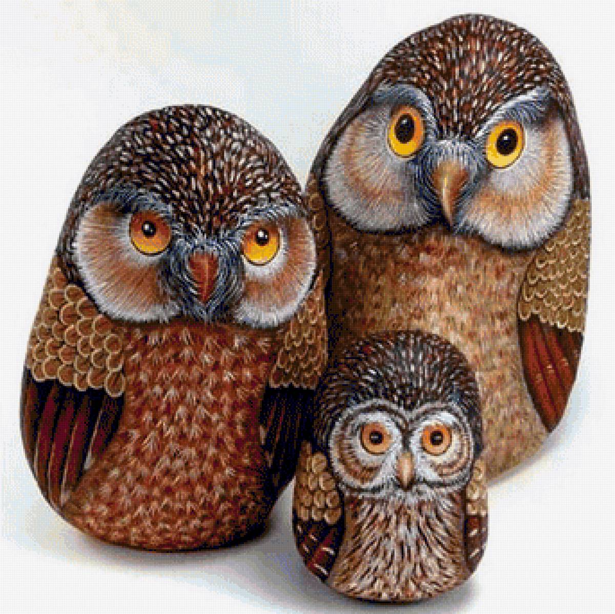 совы - семья, совы - предпросмотр