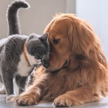 Схема вышивки «№1994605»