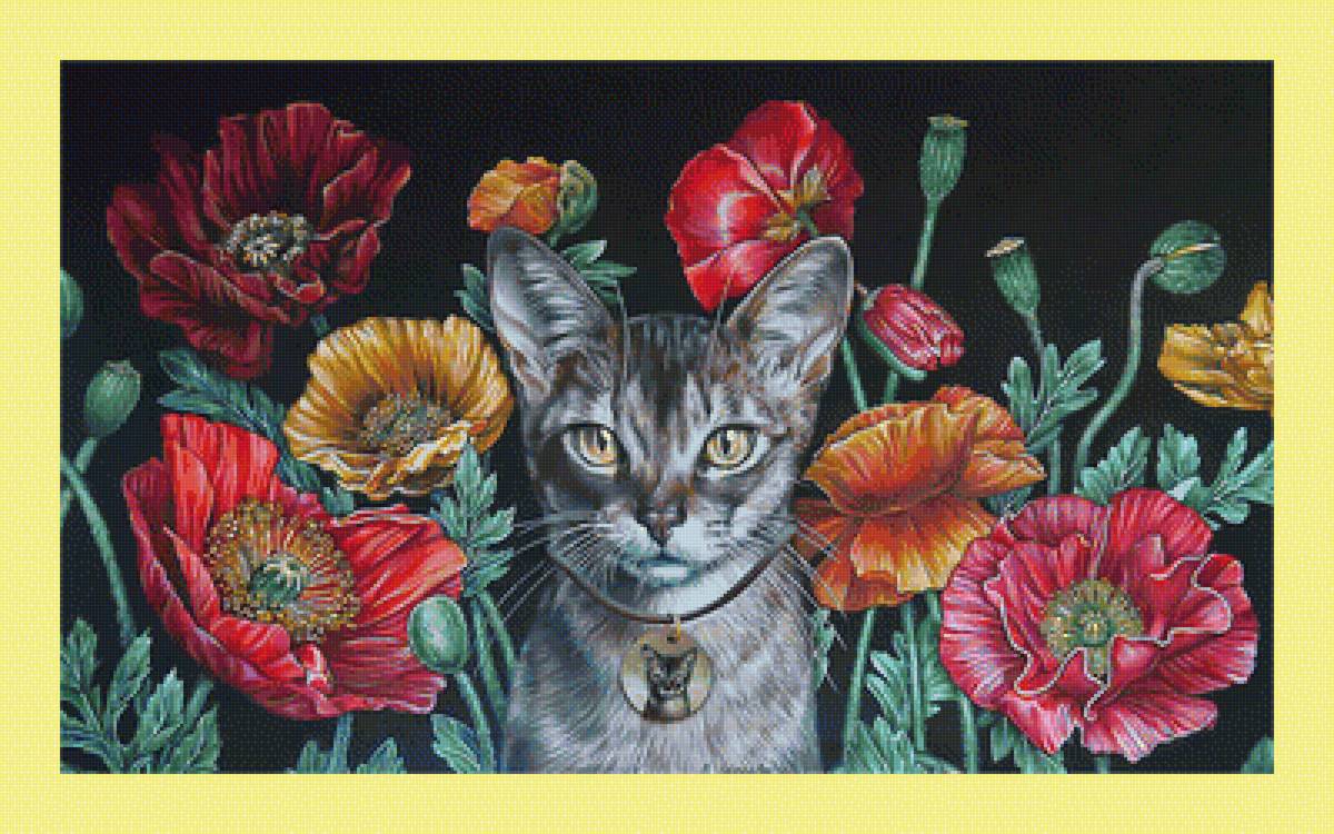 Кот и маки. - кошка, кот, маки, цветы - предпросмотр